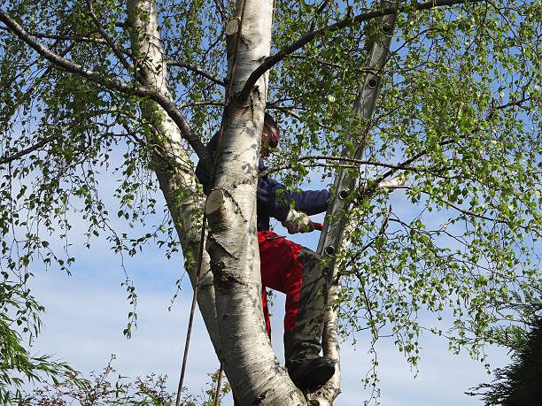 Landscape Design and Installation in Fort Carson, CO